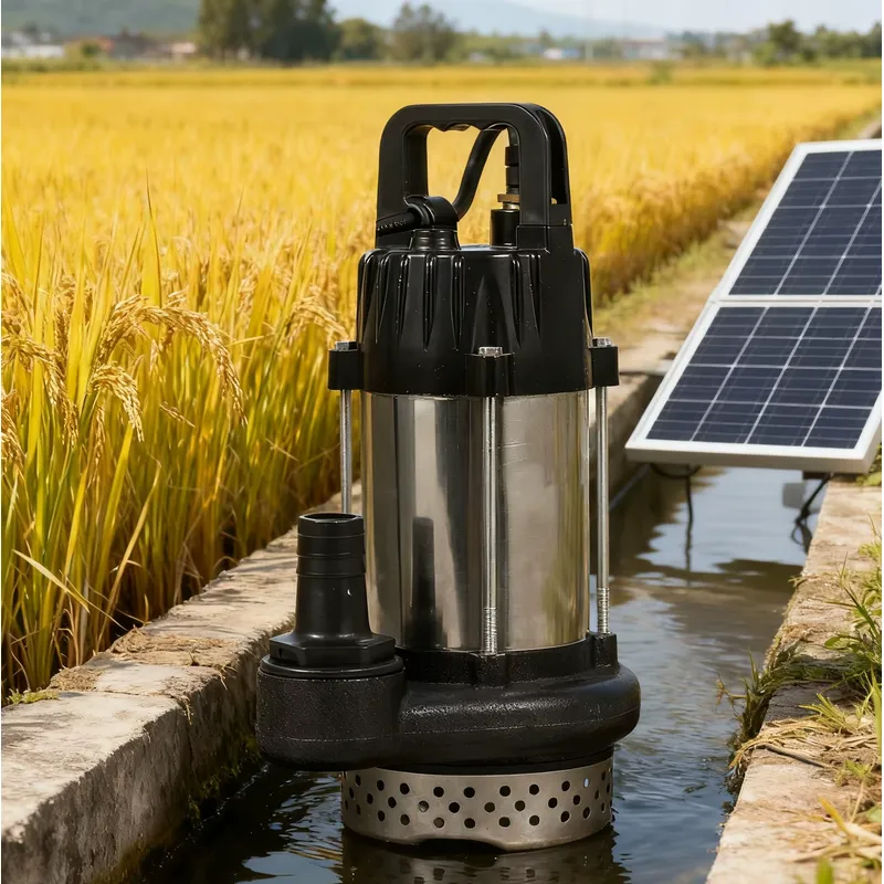 Solar Water Pump 48V Submersible - 48V 500W Güneş Enerjili Su Pompası