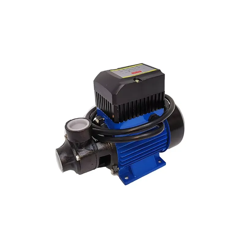 Solar Irrigation Pump 12V - 12V 180W QB60 Fırçalı DC Güneş